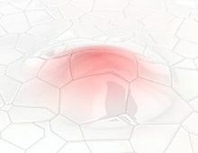 <strong>Projet: </strong>Bouton
