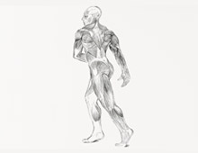<strong>Projet: </strong>Ecorchés