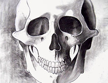 <strong>Project: </strong>Skull