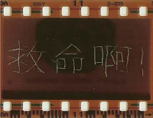 <strong>Projet: </strong>Stop motion Dharma